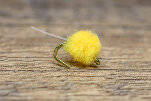 Micro Flashtail Egg