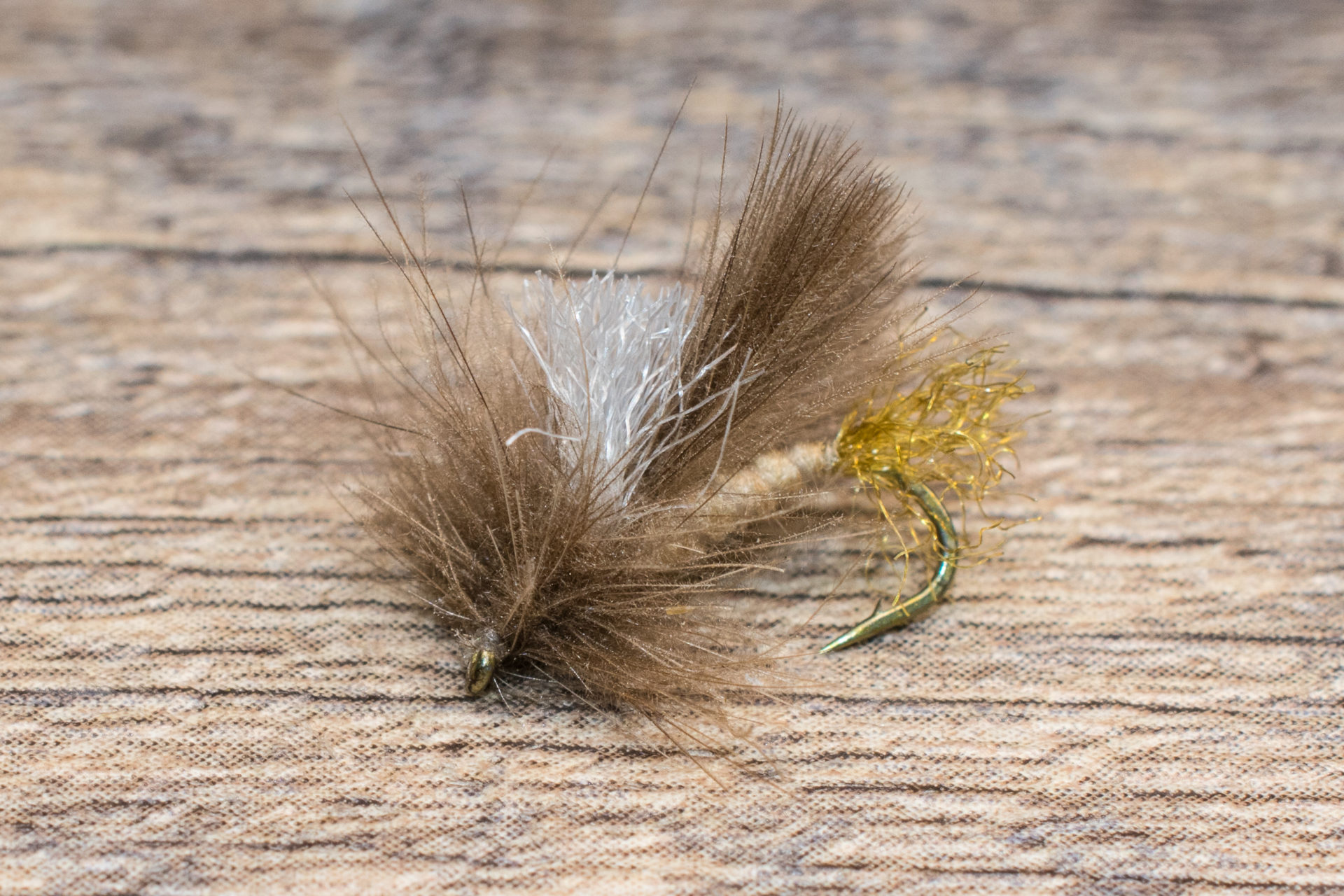 corn fed caddis pattern