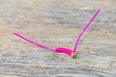 Flossy Worm Pink