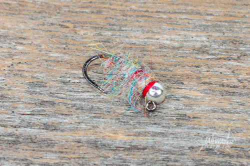 Tailwater Sow Bug