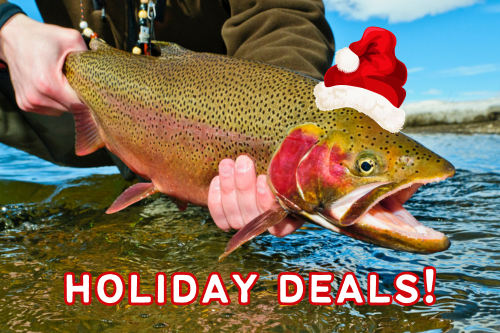 HOLIDAY DEALS!